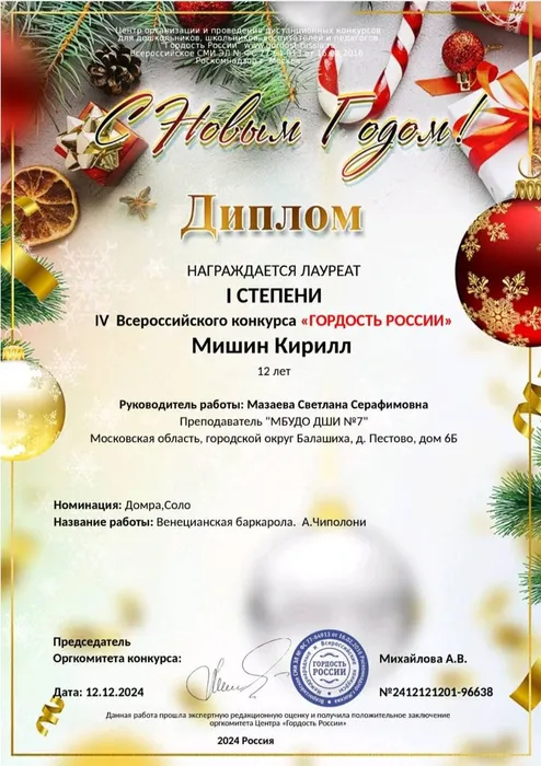 Мишин 12.12.24