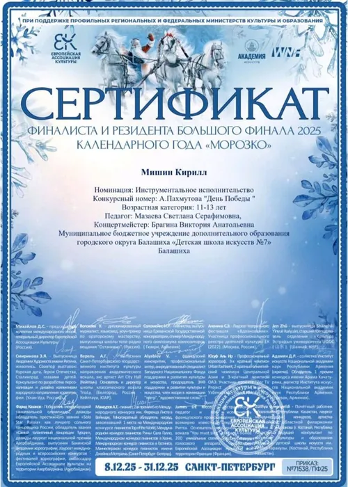 Сертификат Мишин К.