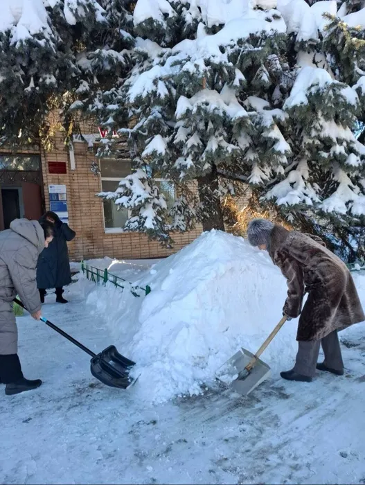 d260f4d0-2237-4bf2-89b5-8bf6e4e1f24c